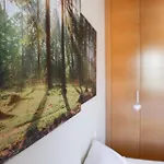 公寓 El Mirador De L Wifi L Garaje L Vistas 潘蒂科萨