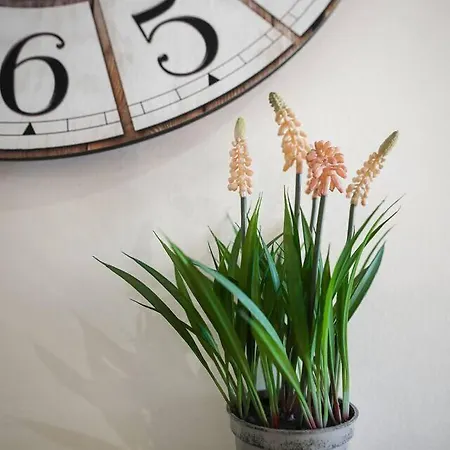 شقة El Mirador De L Wifi L Garaje L Vistas