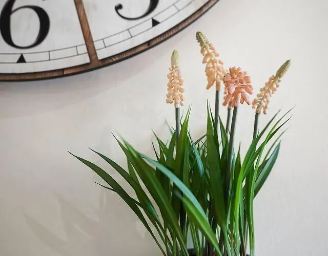 Appartamento El Mirador De L Wifi L Garaje L Vistas